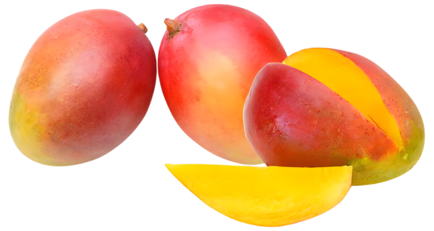 Naturally sweet and juicy, South Africa mangoes are known for their vibrant color, smooth pulp, and rich tropical flavor. Carefully sourced to deliver premium freshness in every bite.