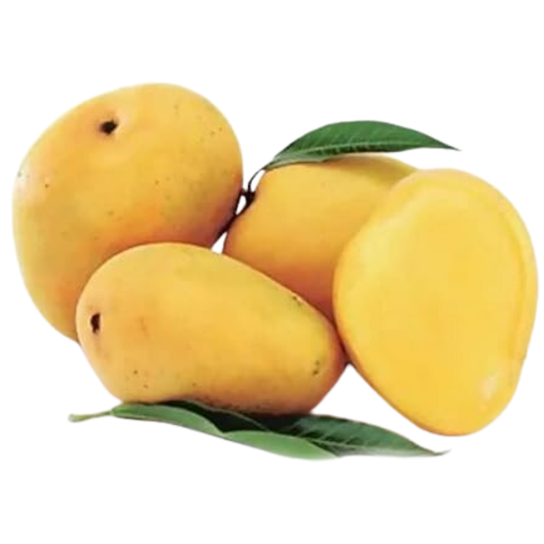 Naturally sweet and aromatic, Safeda mango is known for its smooth pulp, rich flavor, and refreshing taste. Carefully sourced to deliver premium freshness in every bite.