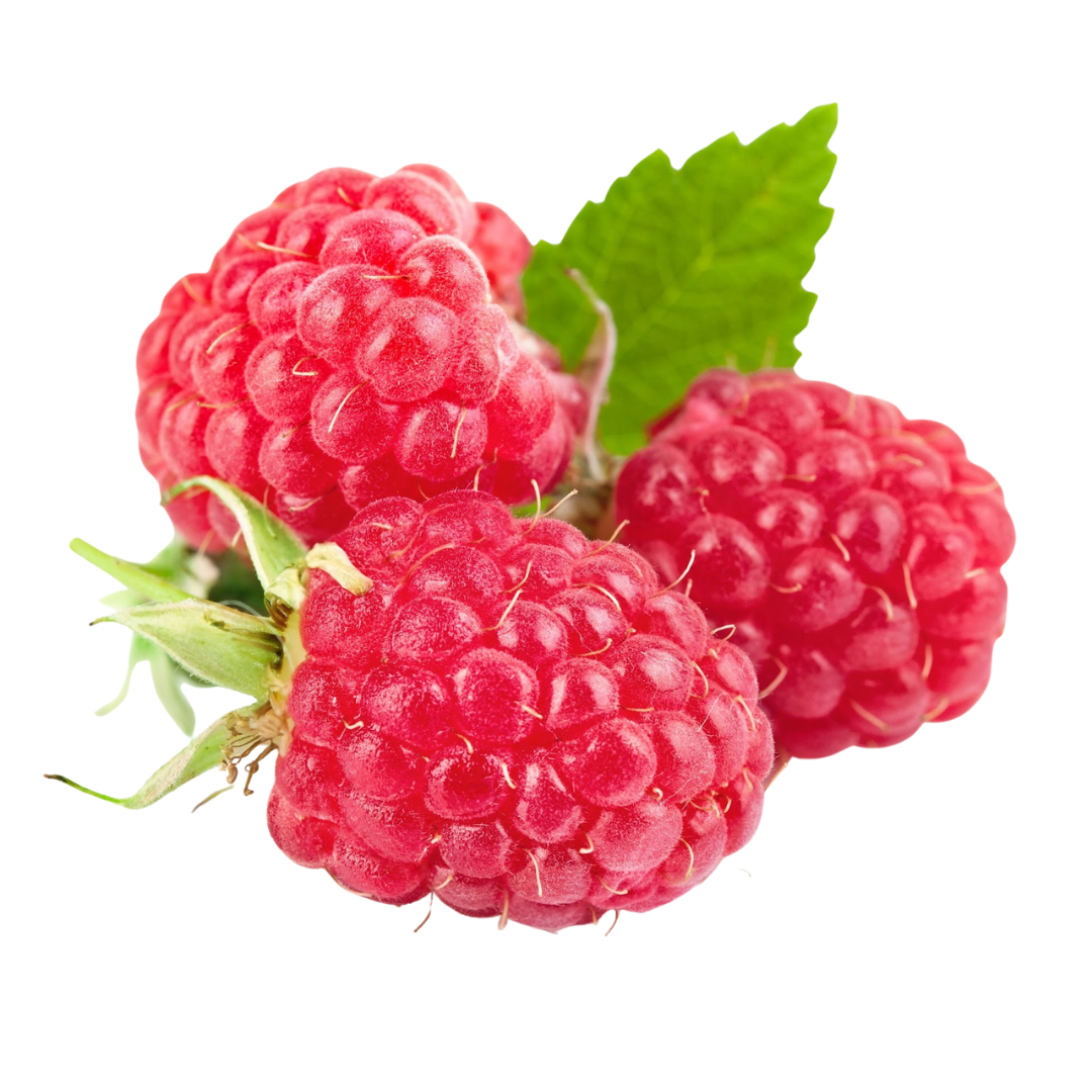 Naturally sweet and tangy, raspberries are known for their vibrant red color, delicate texture, and refreshing flavor. Carefully sourced to deliver premium freshness in every bite.
