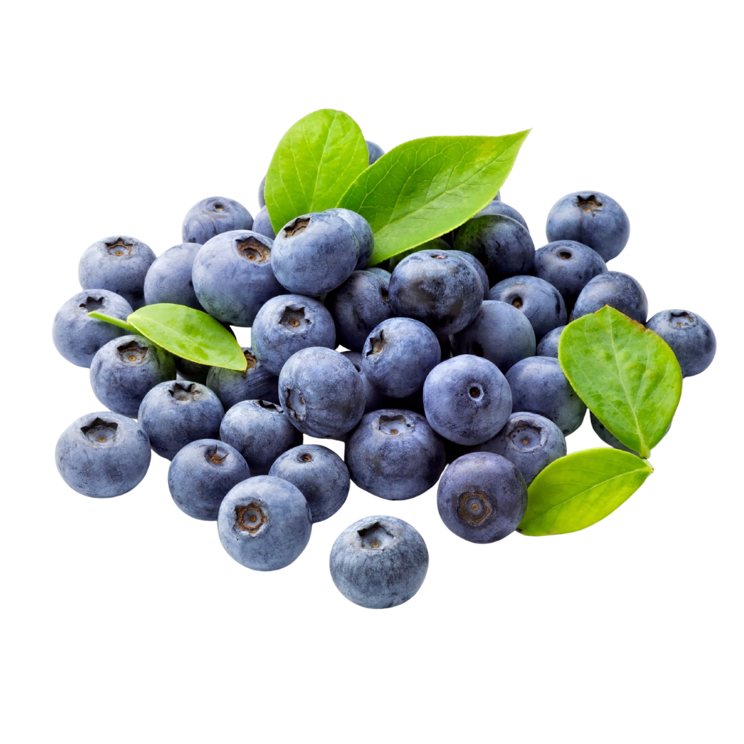 Plump, juicy, and packed with antioxidants, our Premium Blueberries offer a perfect balance of sweetness and tang. Handpicked and carefully chilled to deliver farm-fresh quality in every bite.