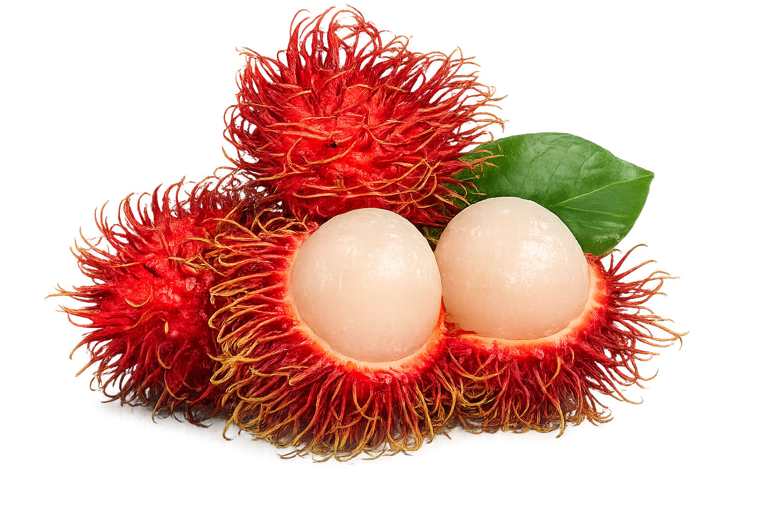 Naturally sweet and juicy, rambutan is known for its vibrant red skin, soft flesh, and refreshing tropical flavor. Carefully sourced to deliver premium freshness in every bite.